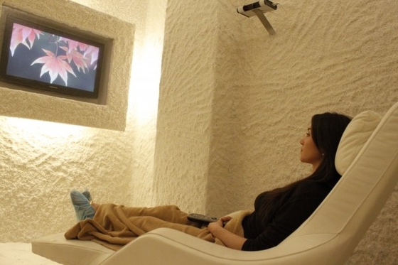 Ruang Gua Garam Sauna Dengan Sertifikat Garam Himalaya CE / ETL / TUV